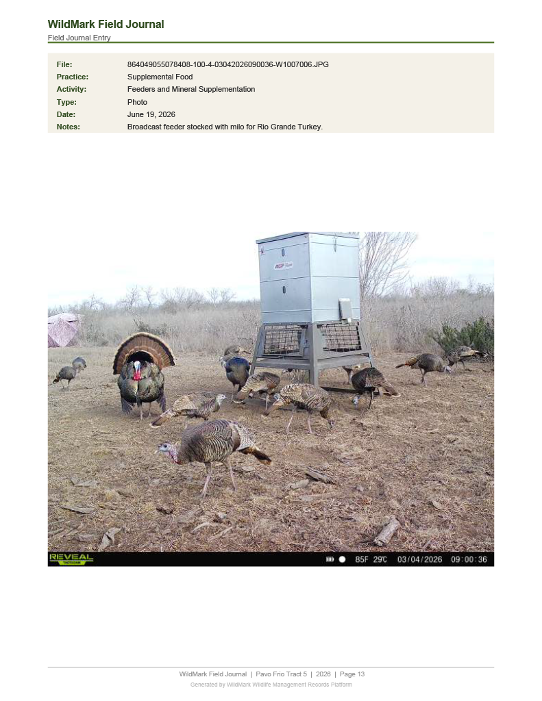 Field Journal Entry — Supplemental Food / Turkey Feeder